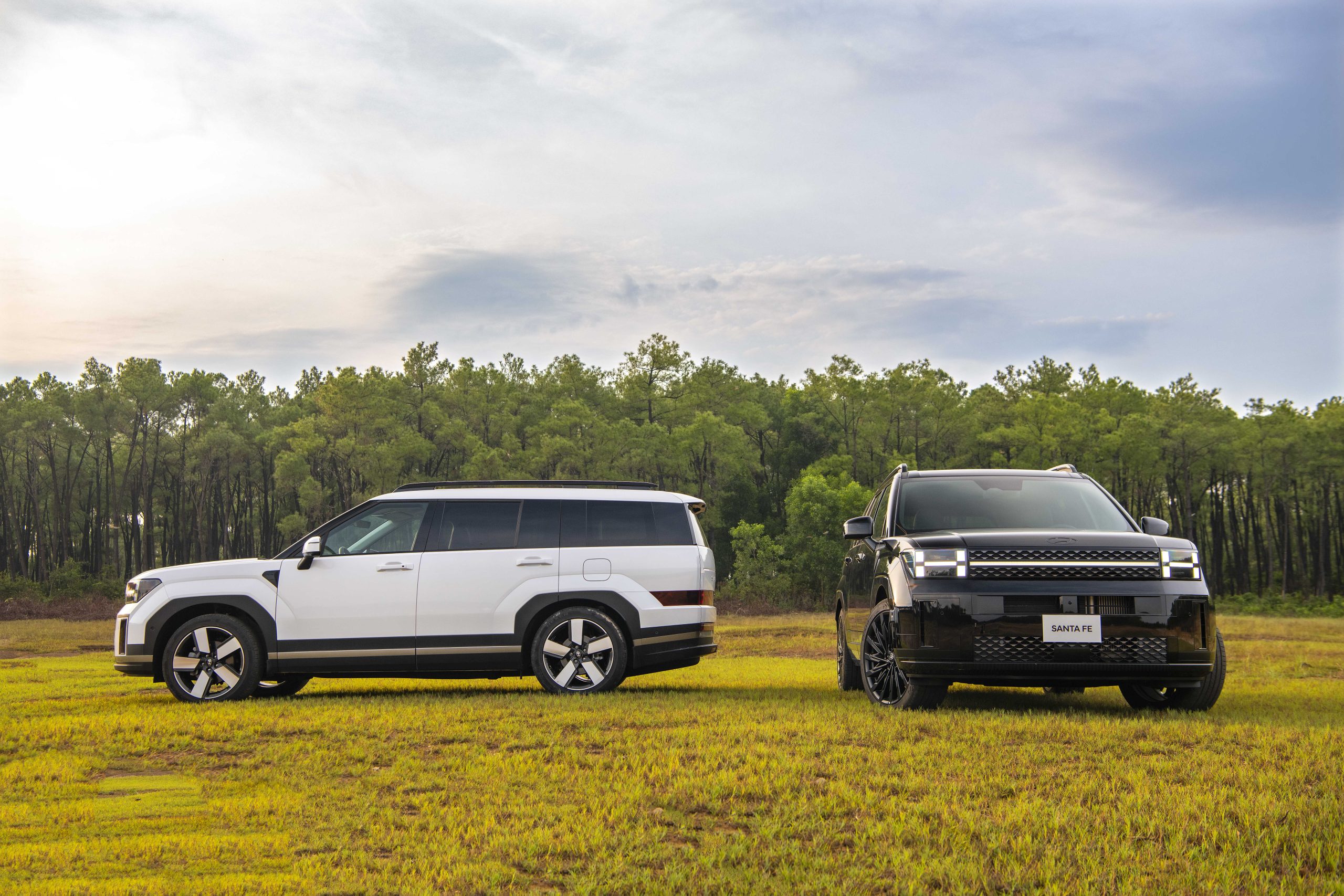 Hyundai Santafe 2026